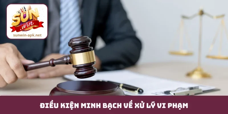 Điều khoản sử dụng Điều kiện minh bạch về xử lý vi phạm