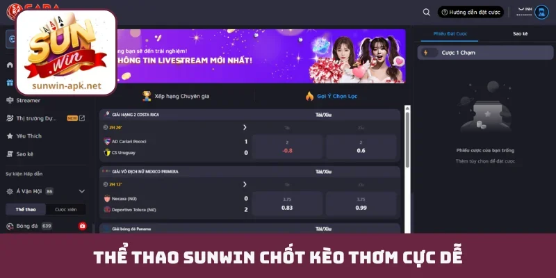 Thể thao Sunwin chốt kèo thơm cực dễ